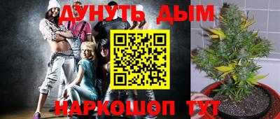 МДПВ Можга