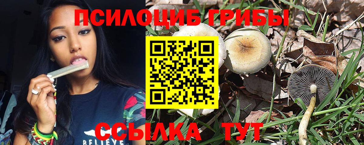Чусовой  Галлюциногенные грибы Magic Shrooms  Галлюциногенные грибы Psilocybine cubensis  Вход с VPN 