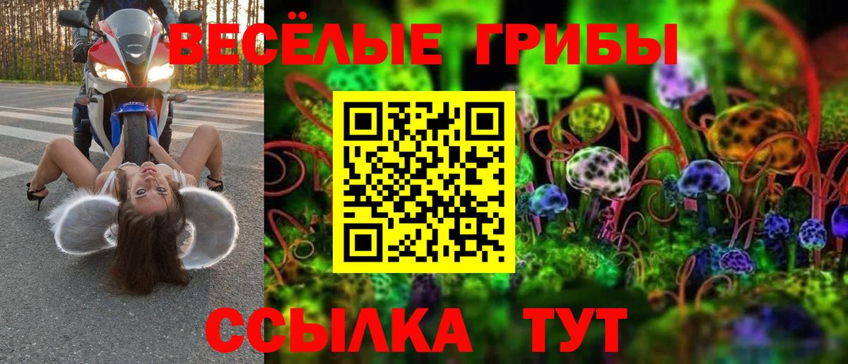 Галлюциногенные грибы прущие грибы Чусовой